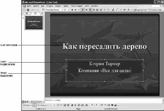 Работа в Microsoft PowerPoint XP