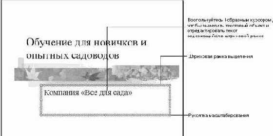   Microsoft PowerPoint XP
