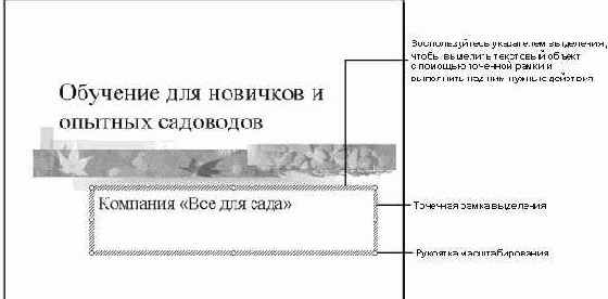   Microsoft PowerPoint XP
