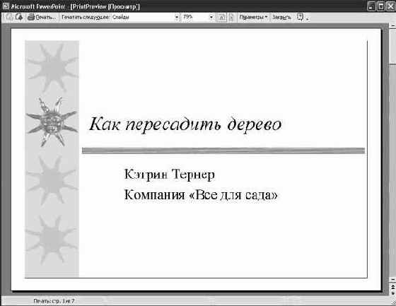 Работа в Microsoft PowerPoint XP