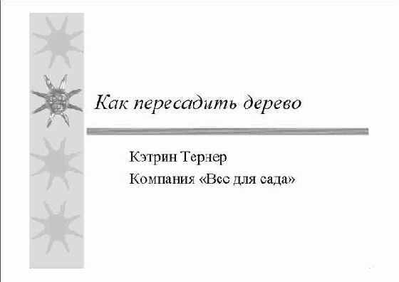 Работа в Microsoft PowerPoint XP