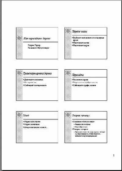 Работа в Microsoft PowerPoint XP