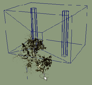      Paint Effects ( )